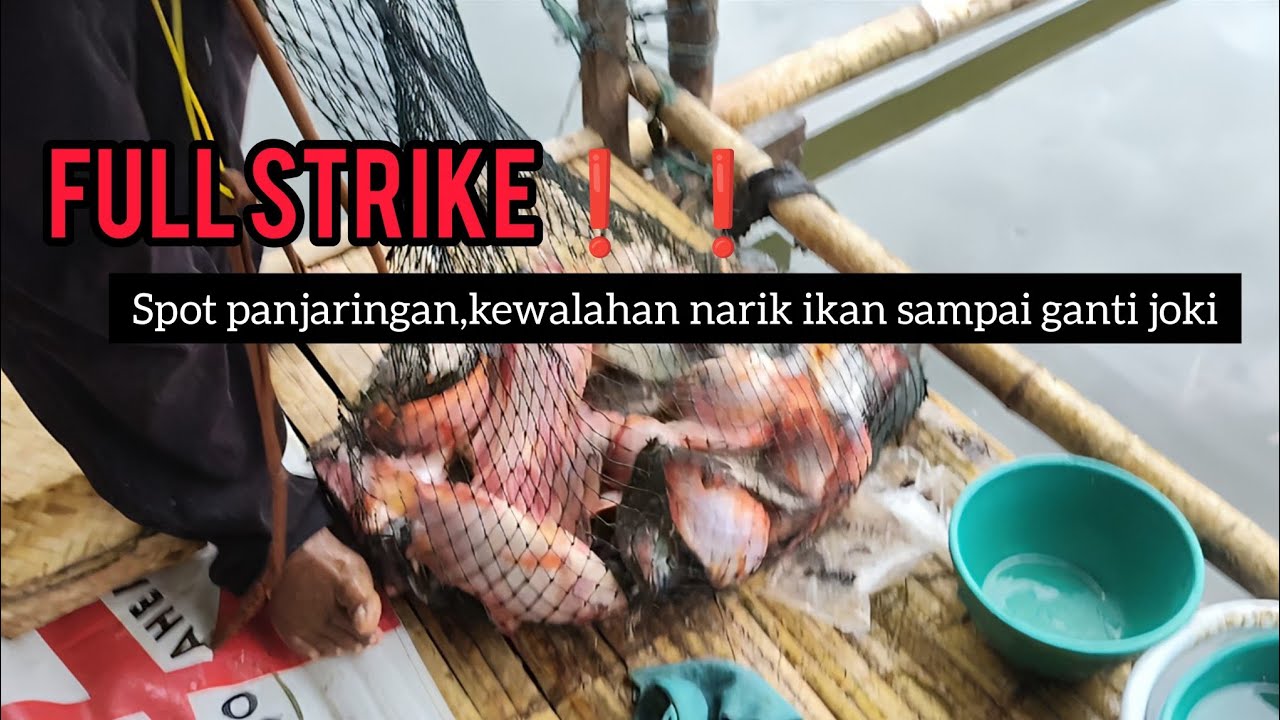 TERBARU‼️MANCING CIRATA//JATILUHUR//IKAN BERKUMPUL SETELAH BADAI❗