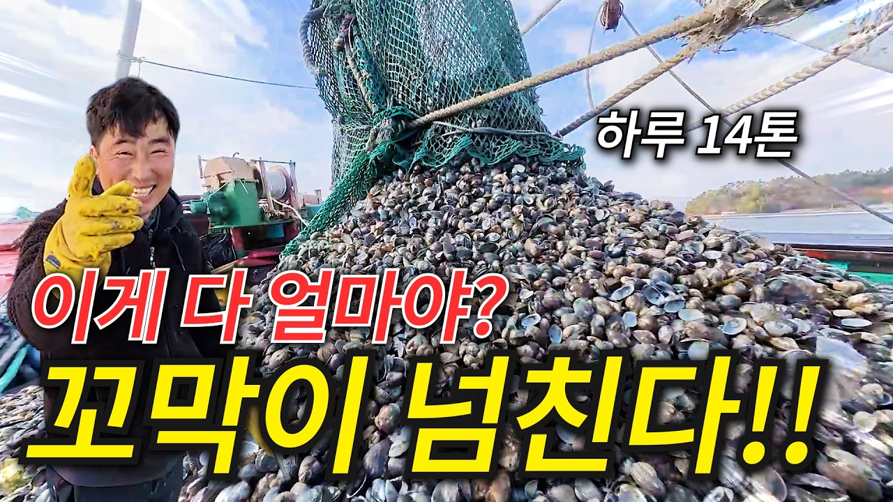 찬 바람이 불면 맛있는 조개!!, 겨울철 국민 밥도둑!! 꼬막 조업현장으로 가봅시다~~