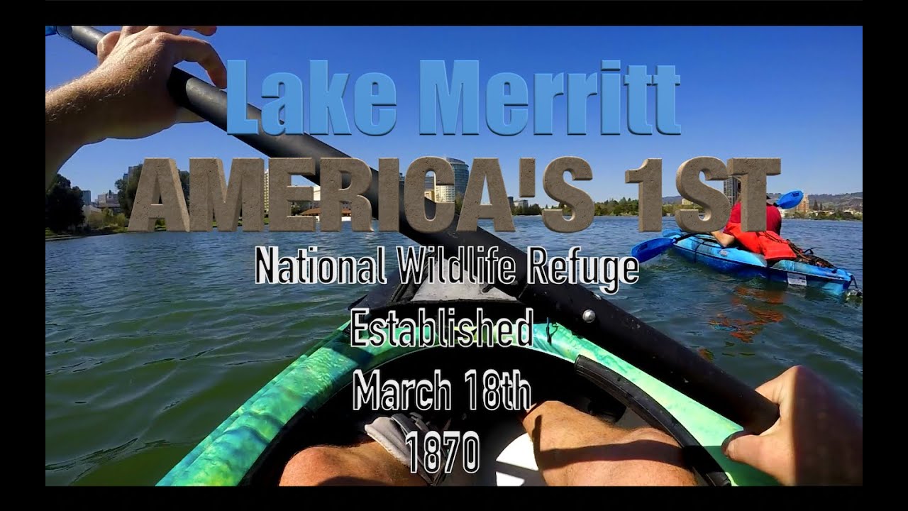 Oakland Lake Merritt, Jack London Square Urban Kayak Adventure. The U.S 1st National Wildlife Refuge
