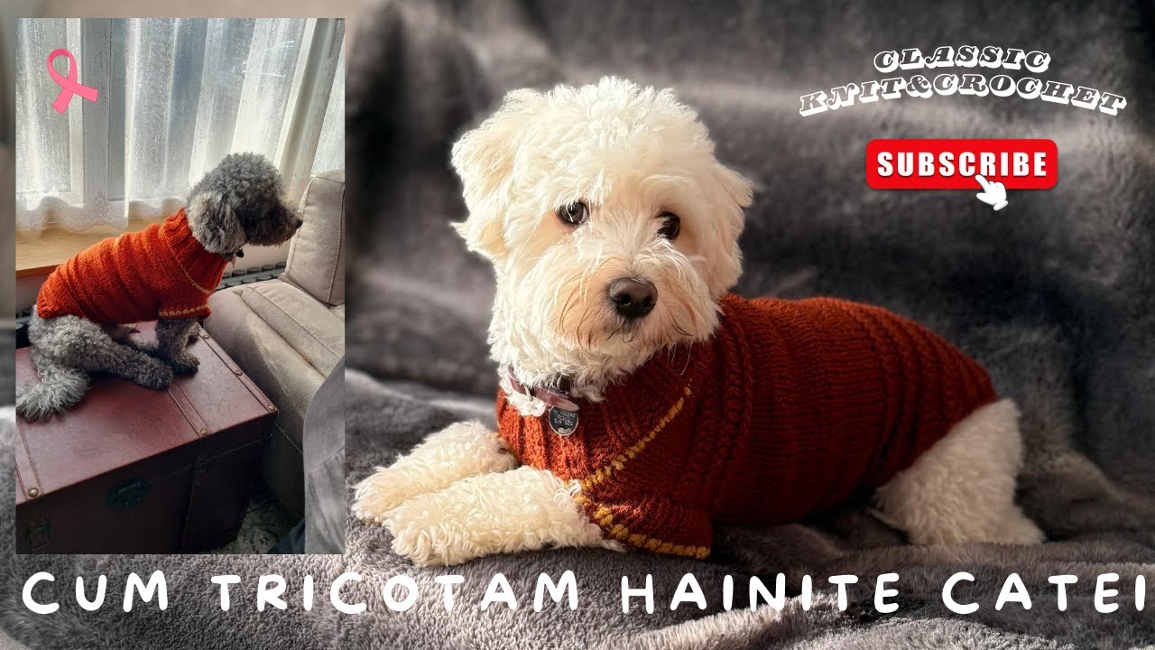 Cum Tricotam Hainite Catei 🐶