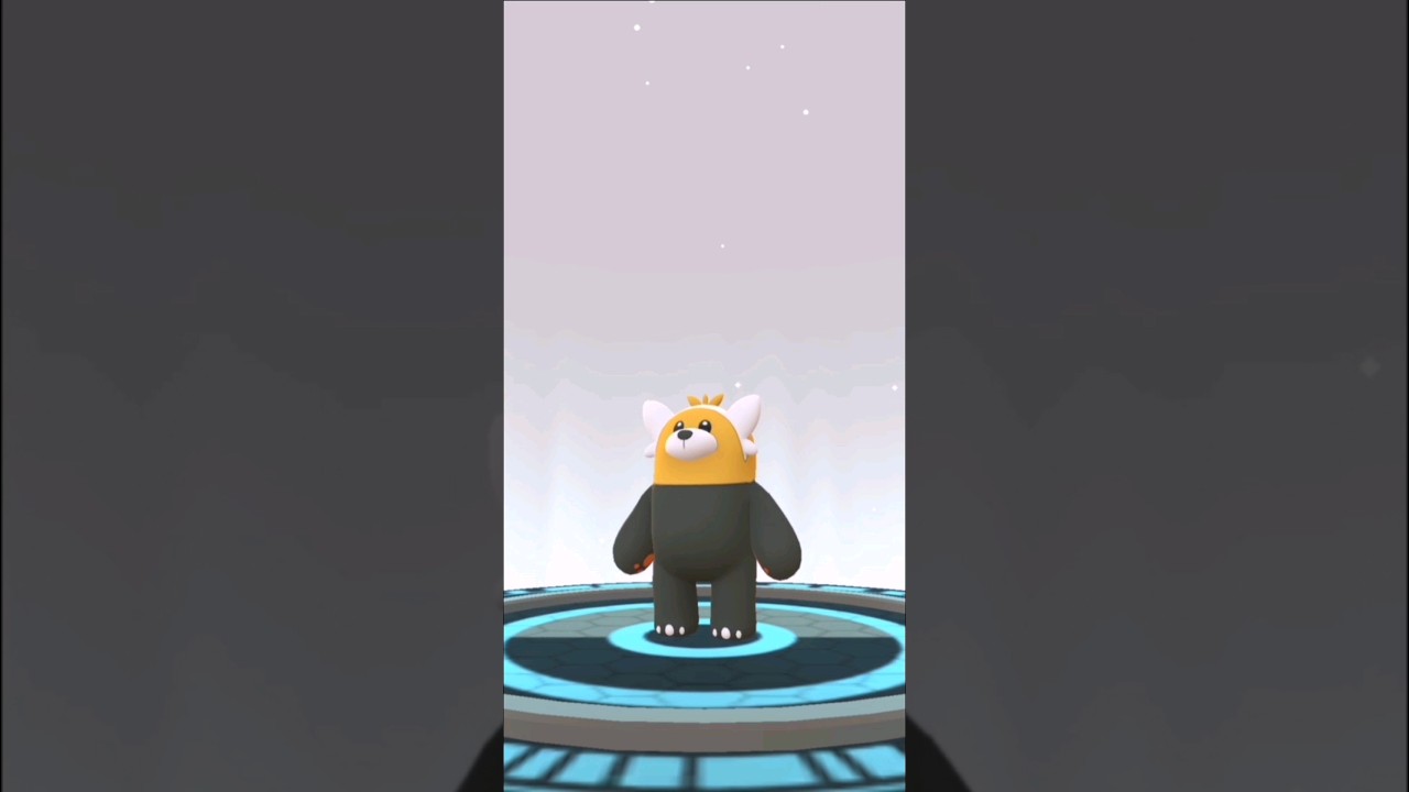 ✨️Evolucionando a Bewear Shiny en Pokémon Go✨️ 