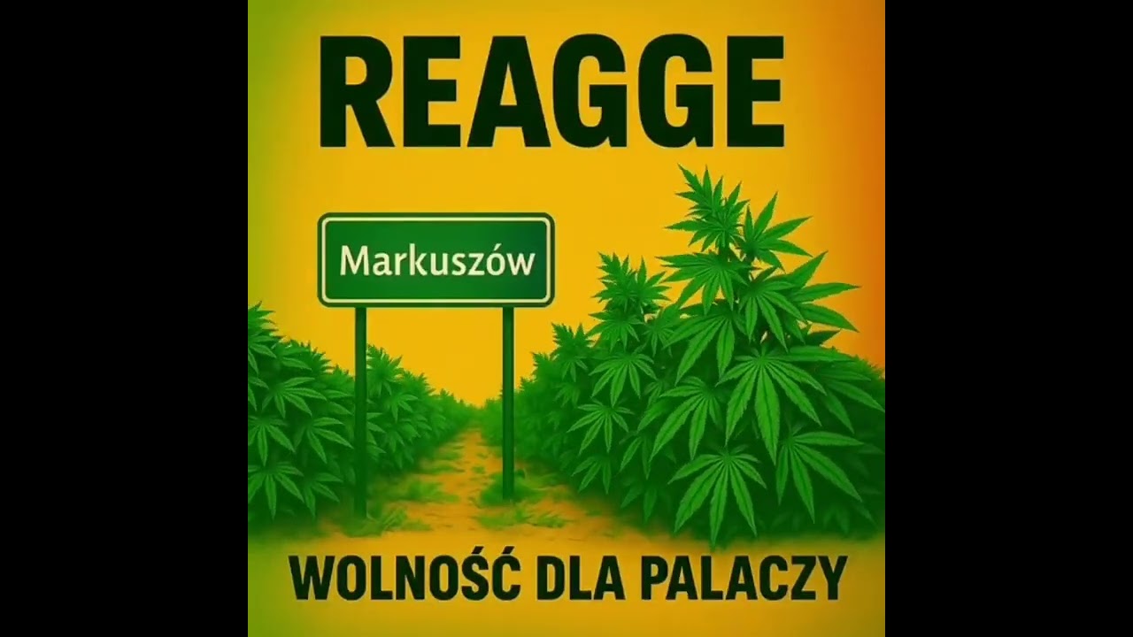 MKW REGGAE - ZŁOTY ŚRODEK