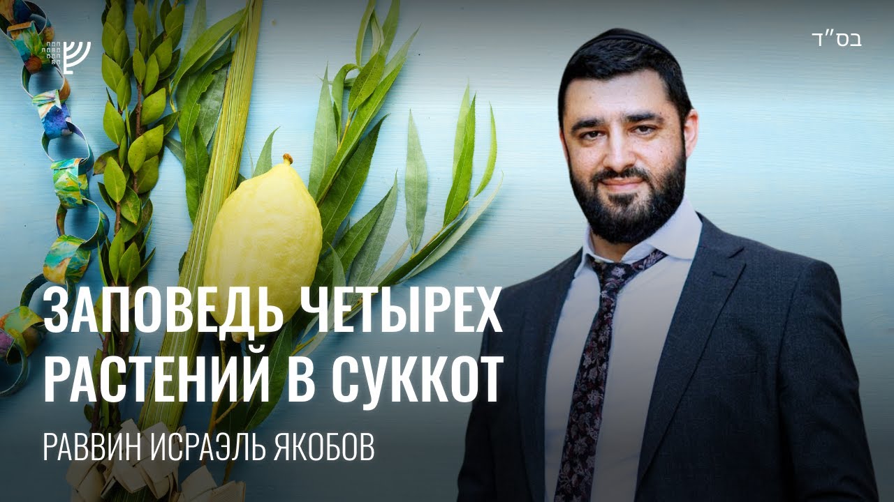 Арбаат а-миним. Суккот (Рав Исраэль Якобов)