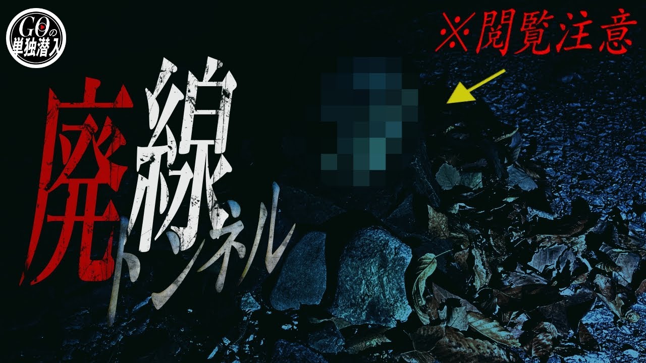 【閲覧注意】視聴者様より潜入依頼をいただいた「廃線トンネル」で見たものとは...