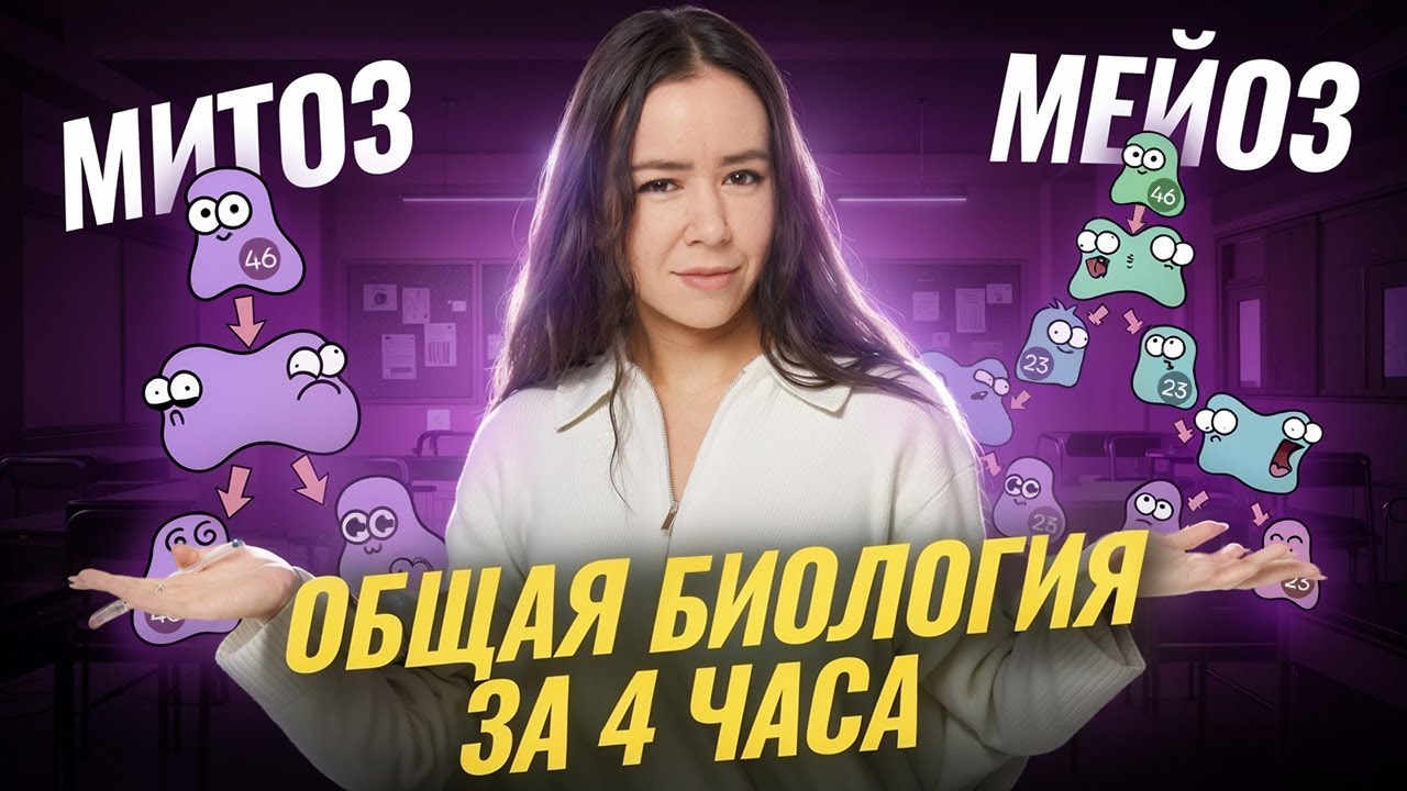 ОБЩАЯ БИОЛОГИЯ ЕГЭ за 4 ЧАСА | Митоз и мейоз с нуля для ЕГЭ по биологии 2026 | Умскул