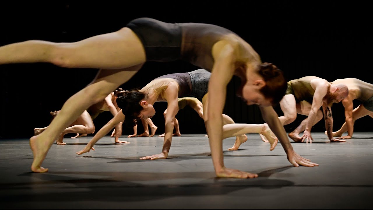 SPHYNX (UA) [Trailer] #tanzmainz