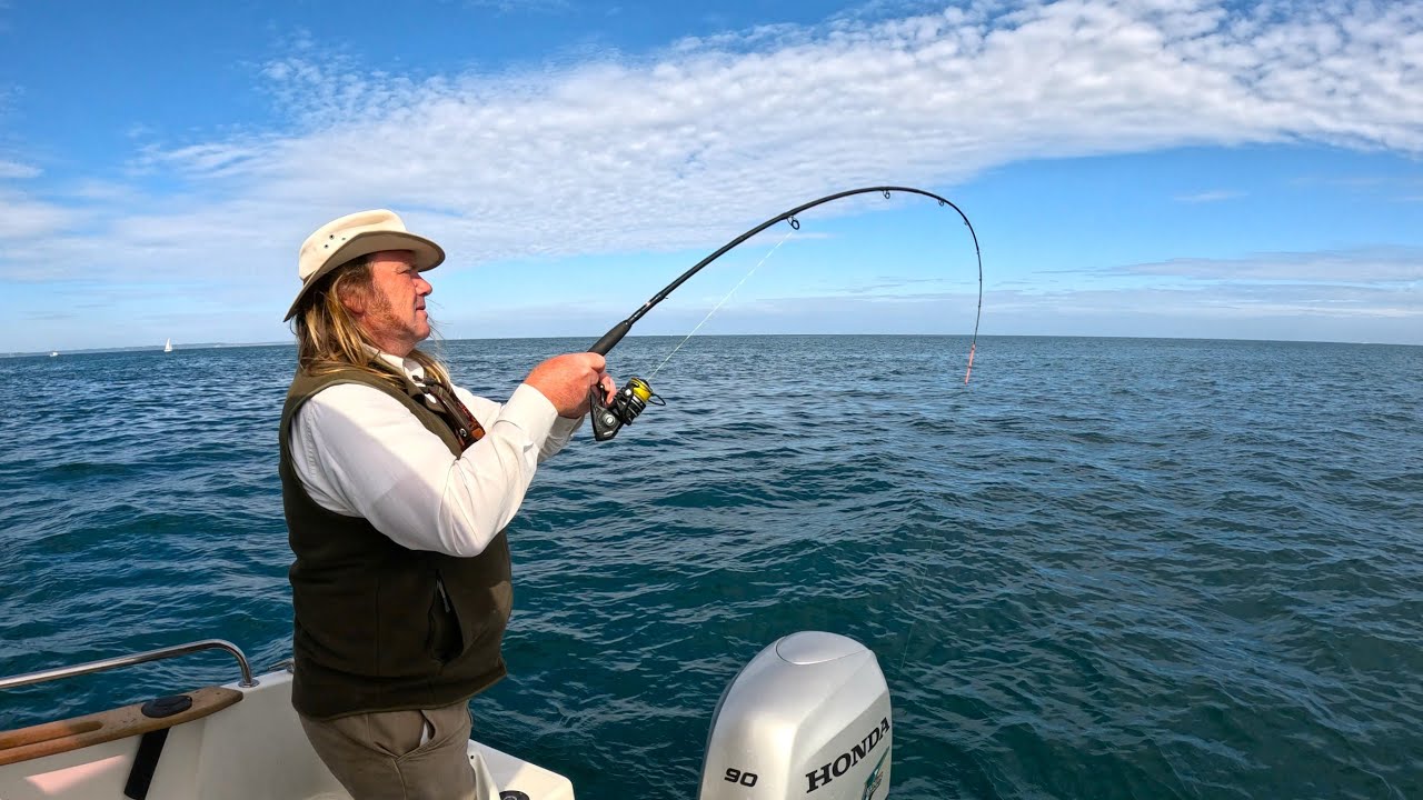Pêche en mer : poissons, seiches et calmars