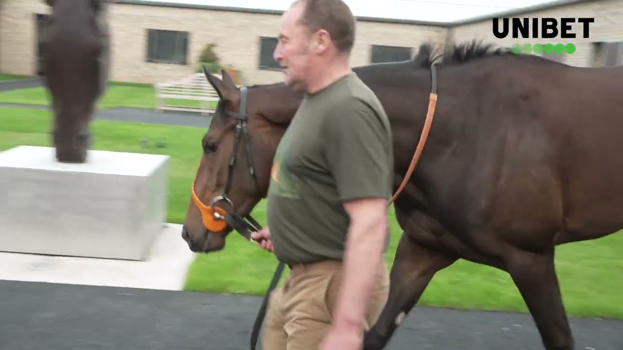 Richard Hannon Royal Ascot Stable Tour 2025 | Rosallion | Ballistic Missile | Haatem #royalascot