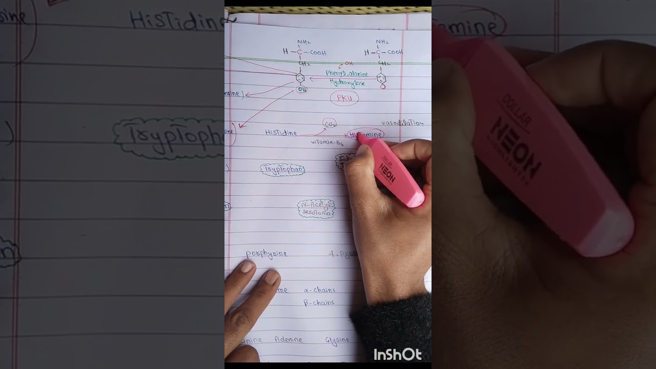 Conversation of Amino acids into specialized products 