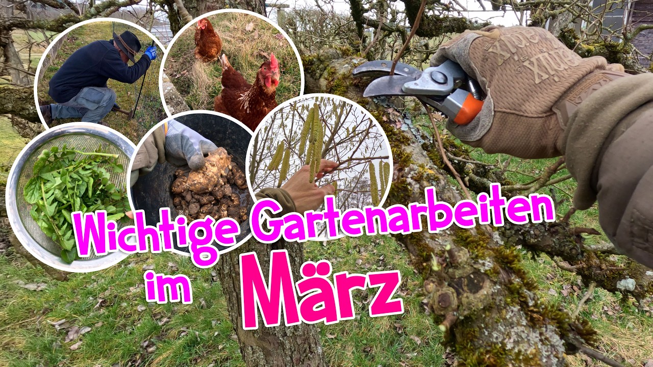 Unser Garten im Februar: Baumschnitt, erste Arbeiten & was jetzt wirklich zählt 🪚🐓🌱
