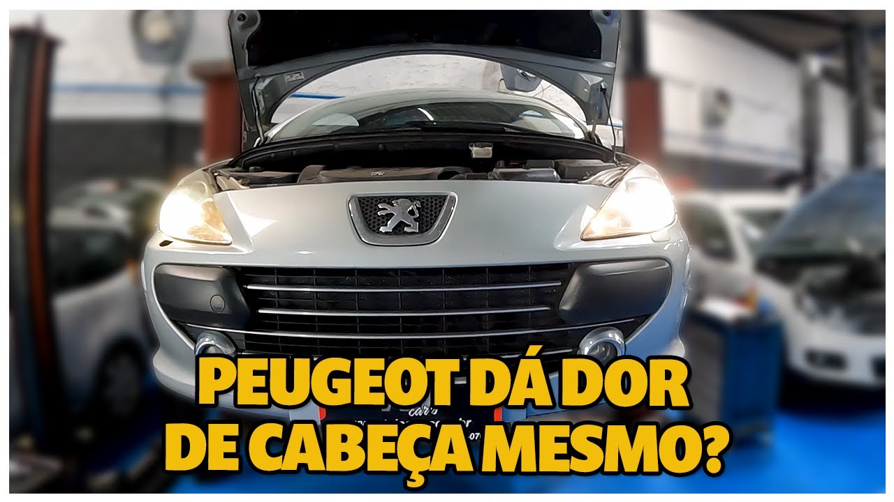 FIZEMOS UMA REVISÃO BRUTA NO 307 CC