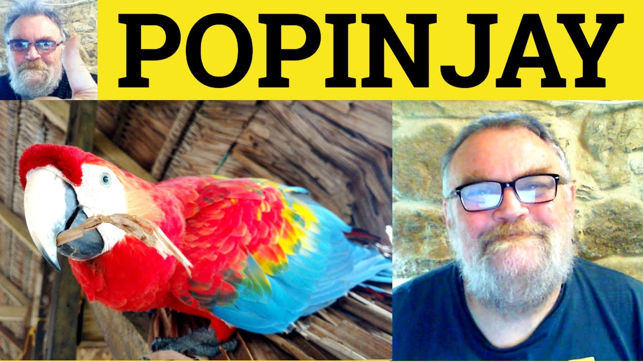 😎 Popinjay Meaning - Popinjay Definition - Popinjay Defined - Popinjay Examples - Popinjay