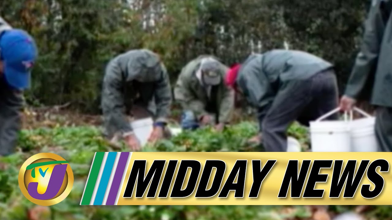 7 Cases of Monkeypox Confirmed in Jamaica | Former Farm Worker Speaks Out