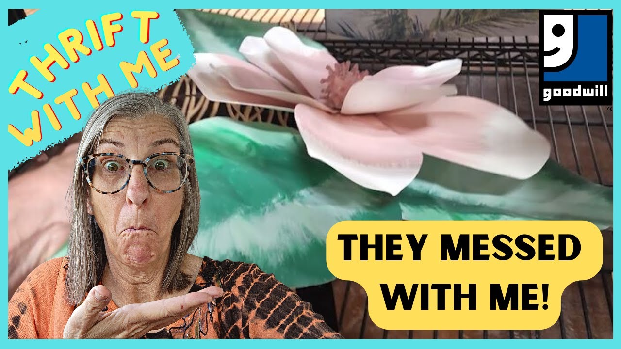 They Messed With Me | Goodwill Thrifting | Thrift for Resale