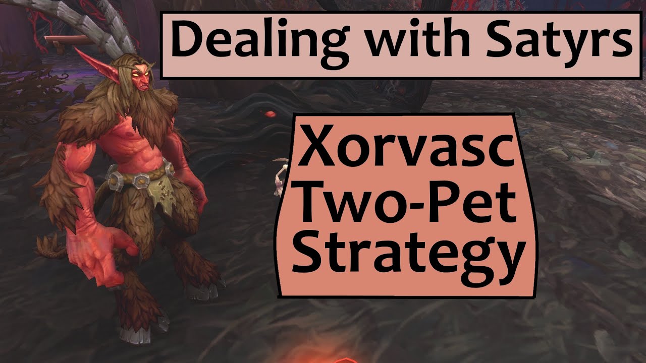 Xorvasc - Two Pet Strategy for Leveling Pets on Dealing with Satyrs