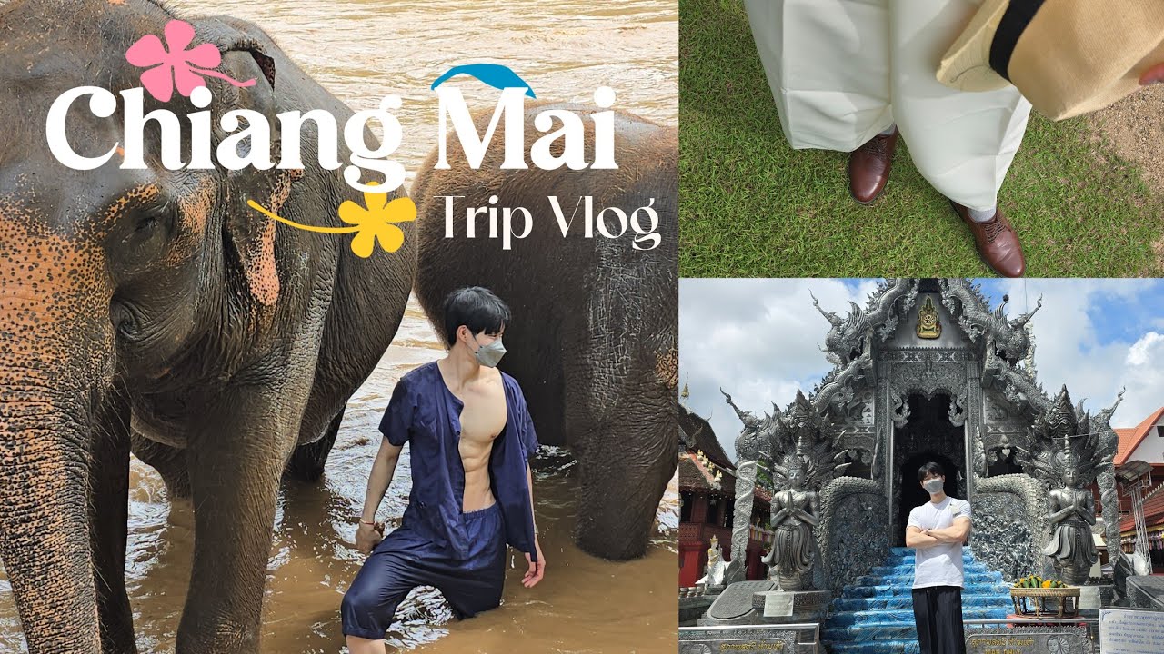 【タイVLOG】チェンマイの癒し旅｜象・自然・お寺で心が整う旅🐘🌿