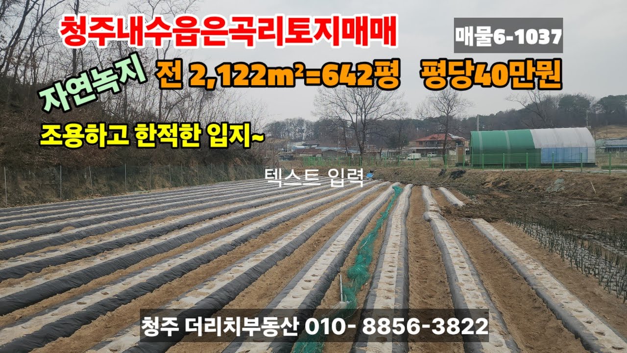 청주내수읍은곡리토지매매