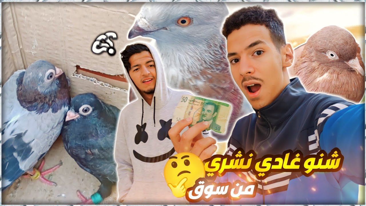 سوق باب الكيسة : اثمن الحمام و طيور 🤩✨| غادي نشري حمام جديد 🕊️✨ و هدية من متابع 🎁😱