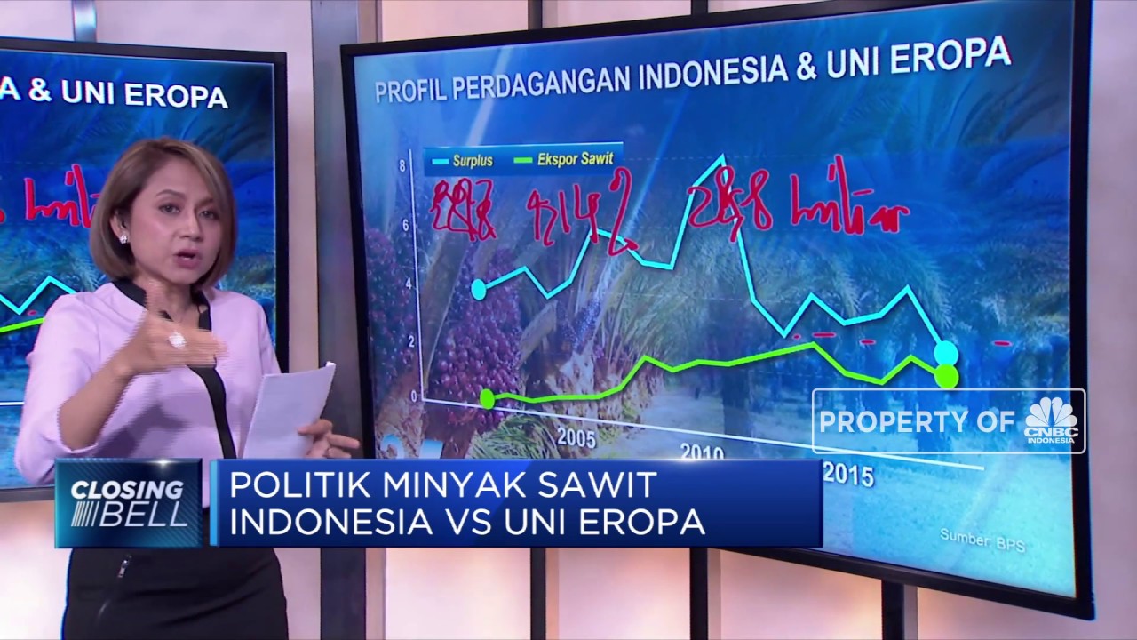 Politik Minyak Sawit, Indonesia VS Uni Eropa
