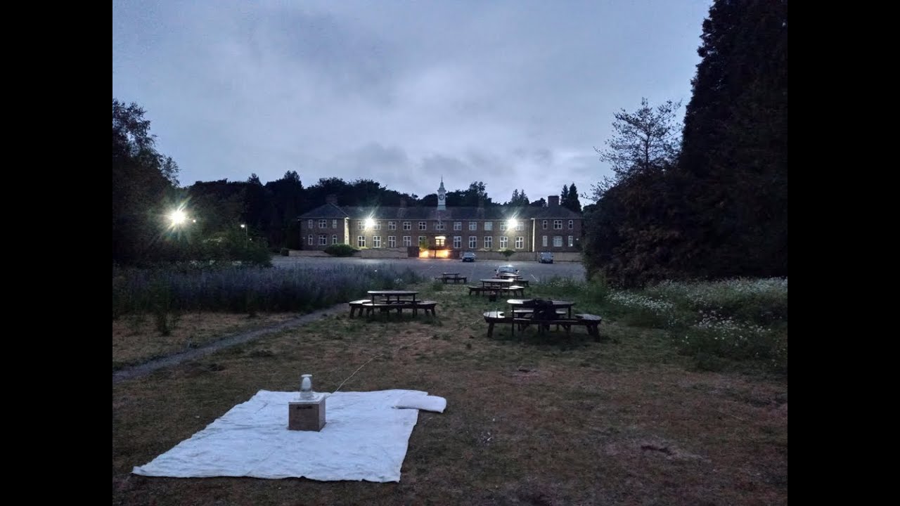 Moth trapping - Ransom Wood June 30th 2023