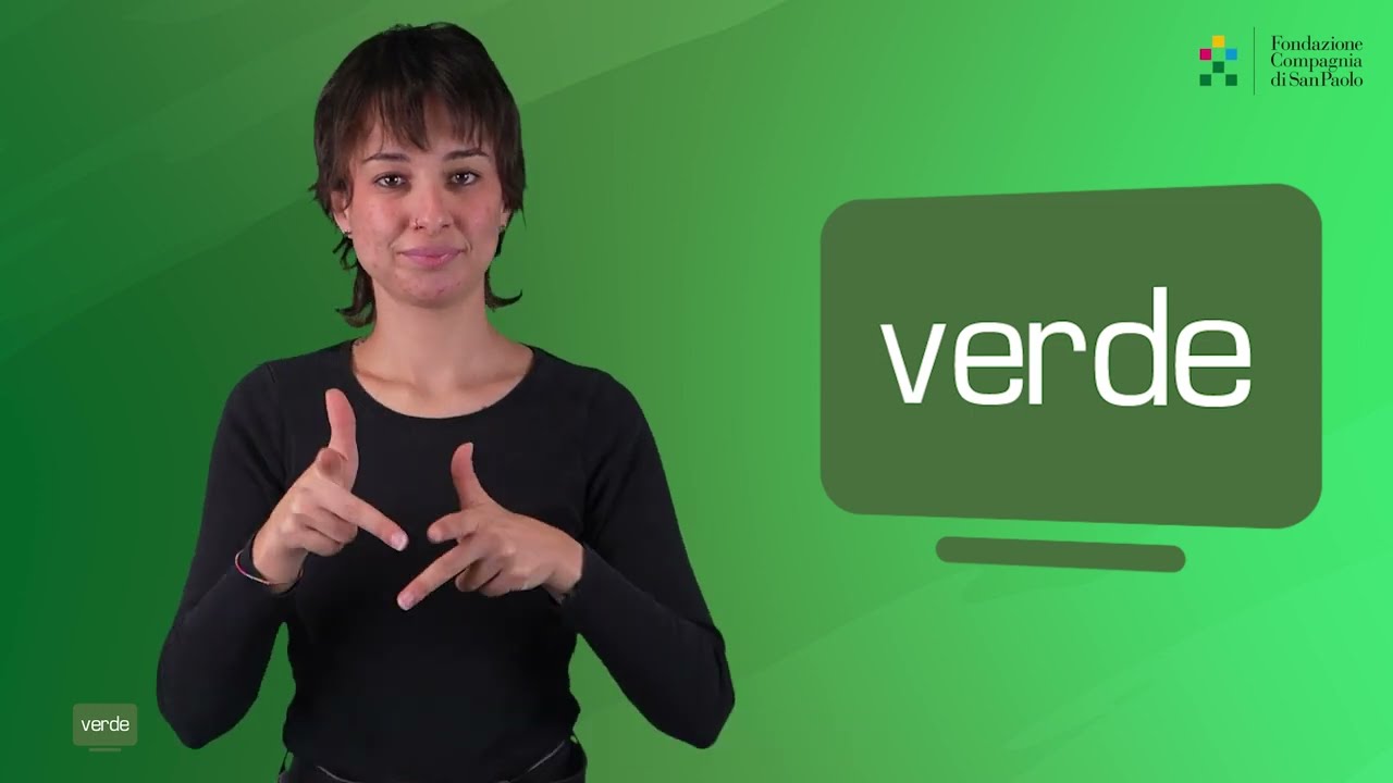 ISTv VERDE - Introduzione del progetto 
