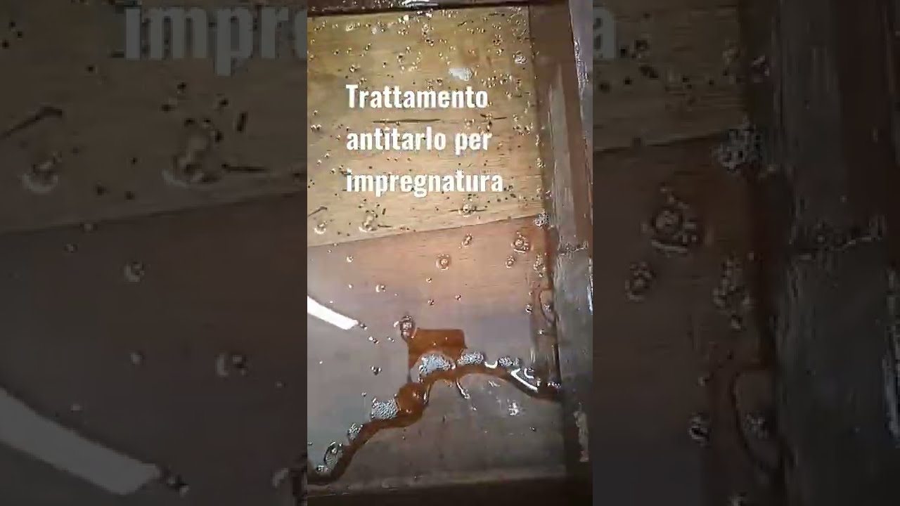 Trattamento antitarlo video completo sul nostro canale