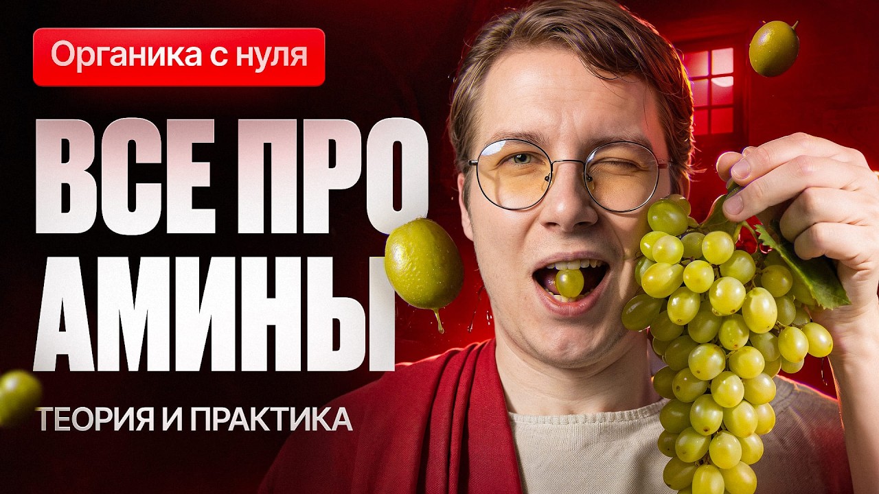 24. Все про амины | Органика с нуля | Степенин и Дацук