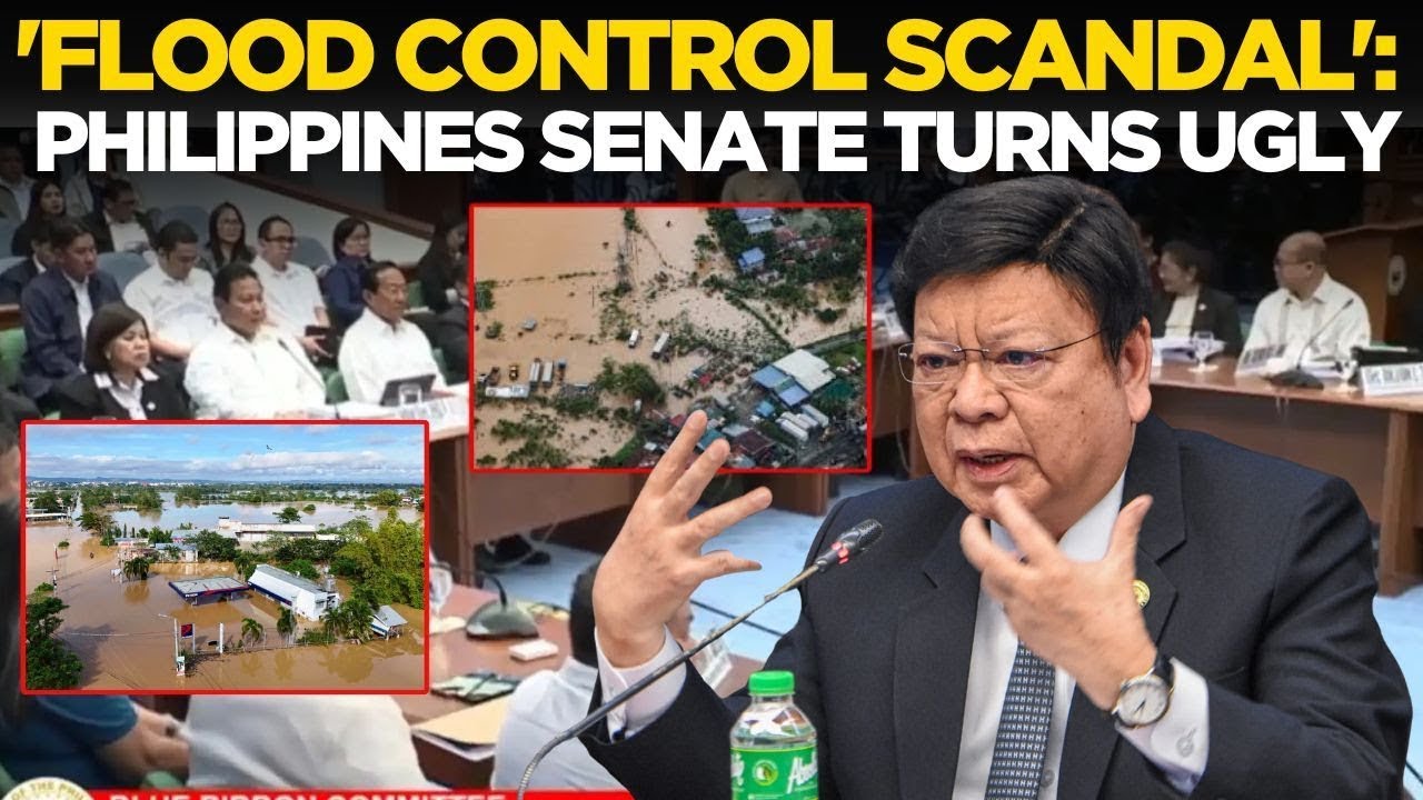 Philippines Senate LIVE | 'Show Up Or...': Senate Blue Ribbon Committee Hearing; Contractors Missing