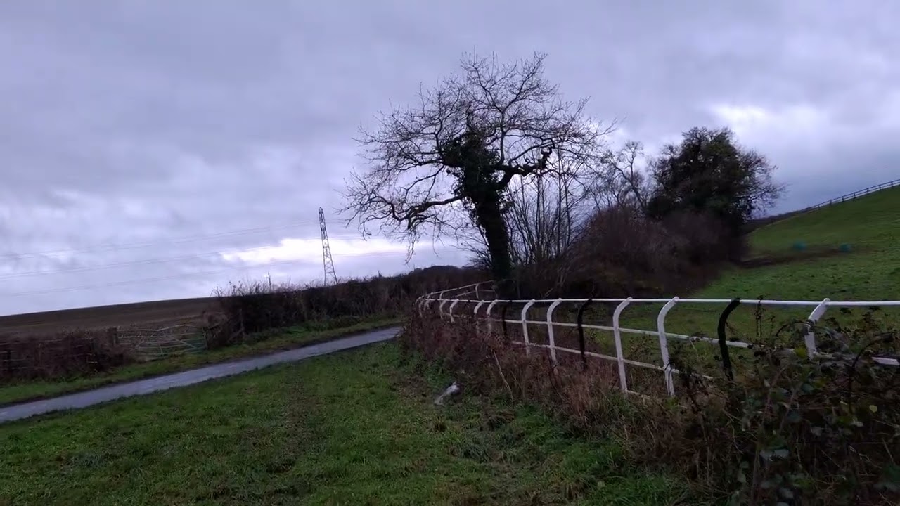 WALKING 2