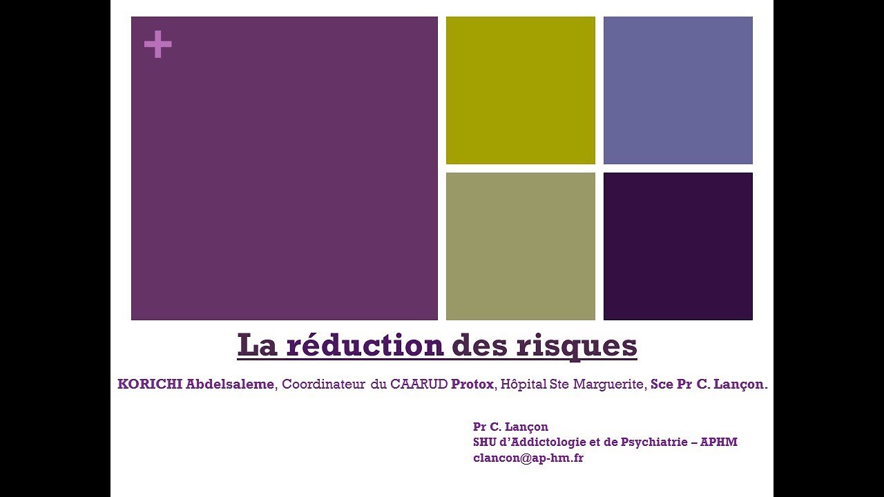 La r&eacute;duction des risques - Abdelsalem KORICHI