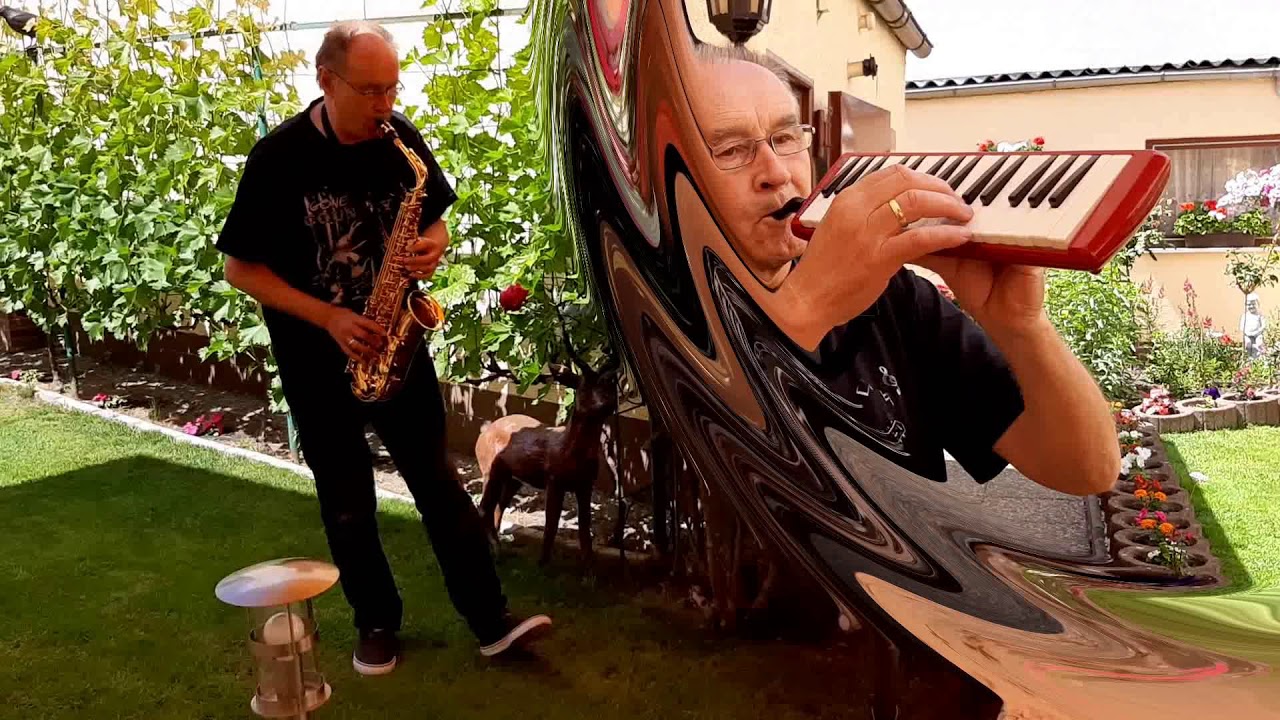 Hans Griffaton -Tu t´en vas (DU GEHST FORT) -Instrumental - Cover