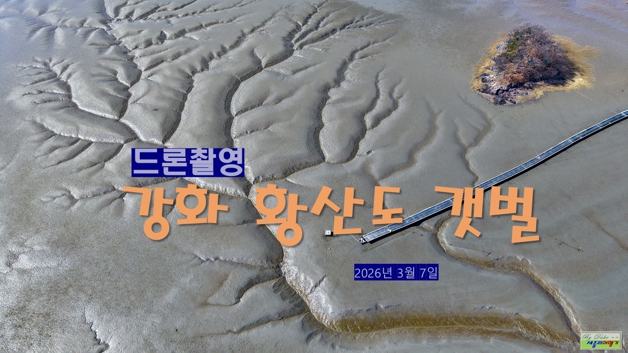 강화 황산도 갯골 드론 촬영