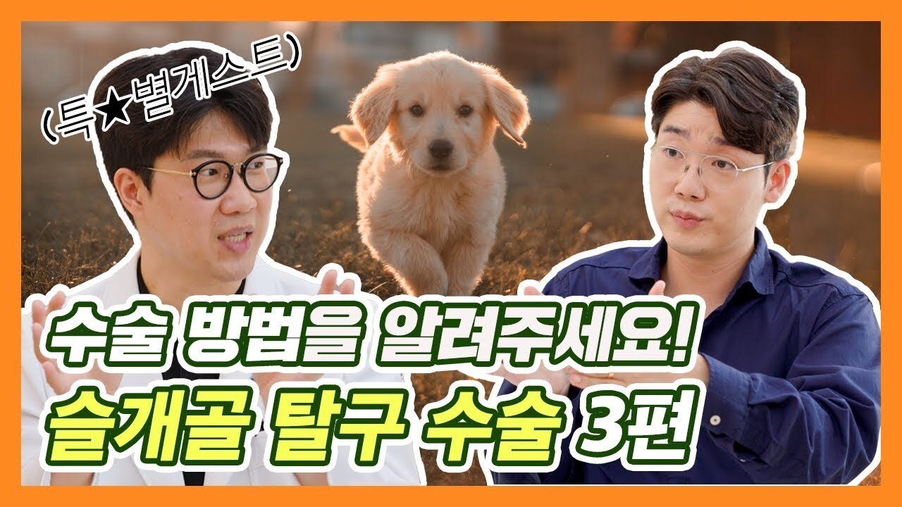 슬개골 수술 방법은 어떻게 되나요?  | 설채현 행동학 수의사 (feat.VIP 동물의료센터 김종인 원장)