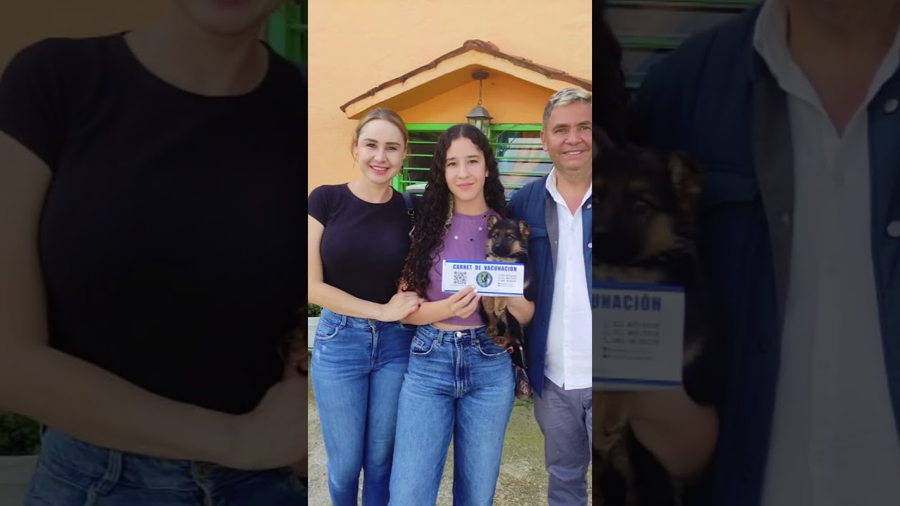 🐕 El momento que cambia una familia para siempre | Criadero de Cachorros Medellin 2026