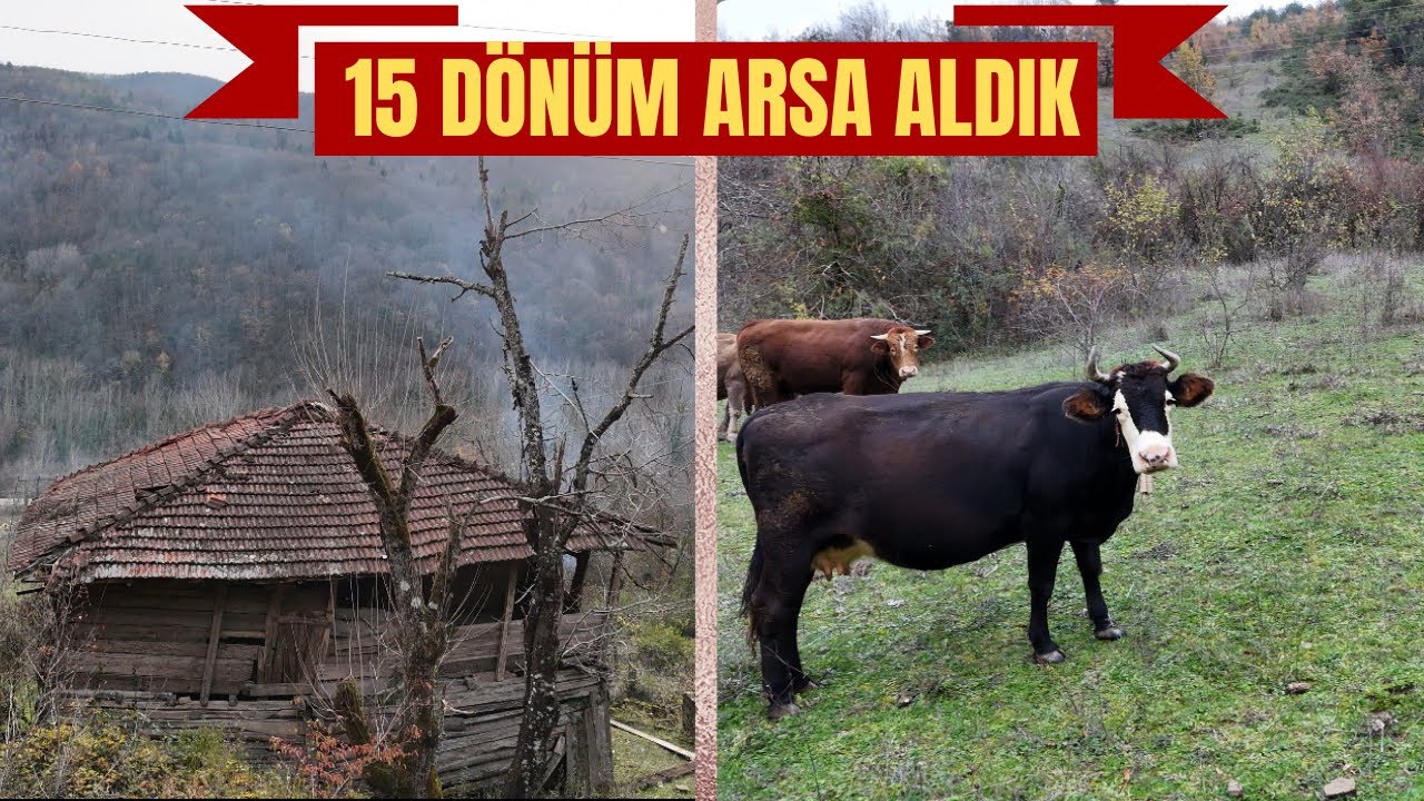 Hayalimizdeki 15 Dönümlük Arsa! Tanıtım Sırasında Doğadan Sürpriz 🦌