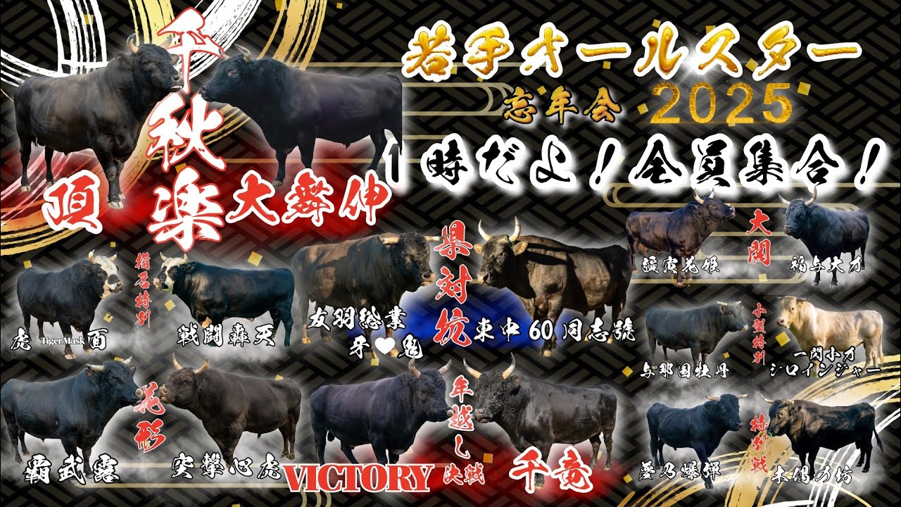 徳之島闘牛　最終決戦　全島出場