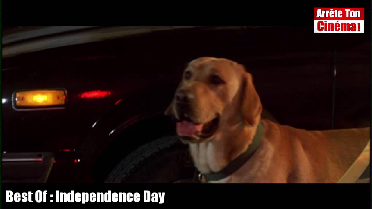 Best Of Independance Day Explosion dans le tunnel et sauvetage de Boomer, le chien