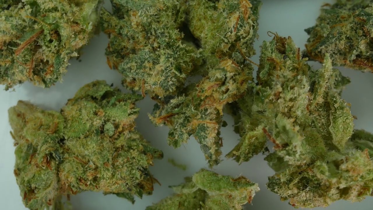 4K cannabis 055 -  7 acres craft collective Pink Kush #SQDC