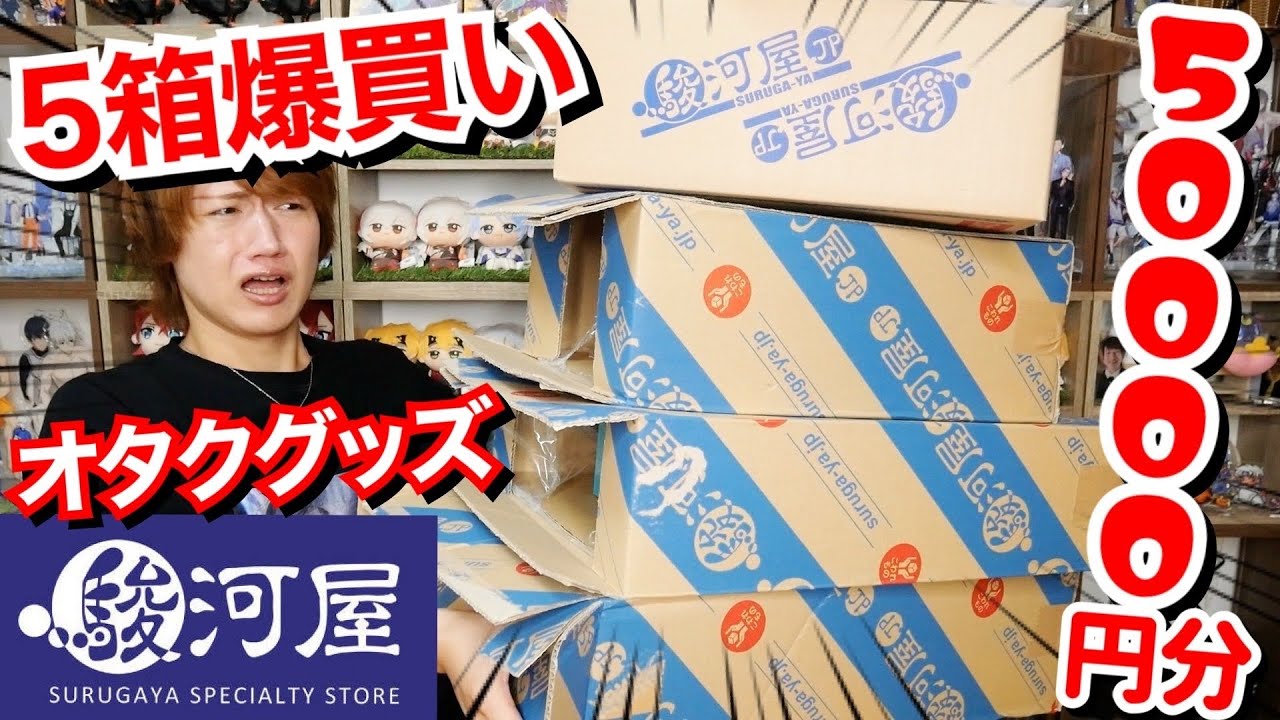 【駿河屋ドカ買い】腐男子オタクの50000円分グッズ本気爆買い購入品紹介【ハイキュー・ブルーロック・セーラームーンetc…】