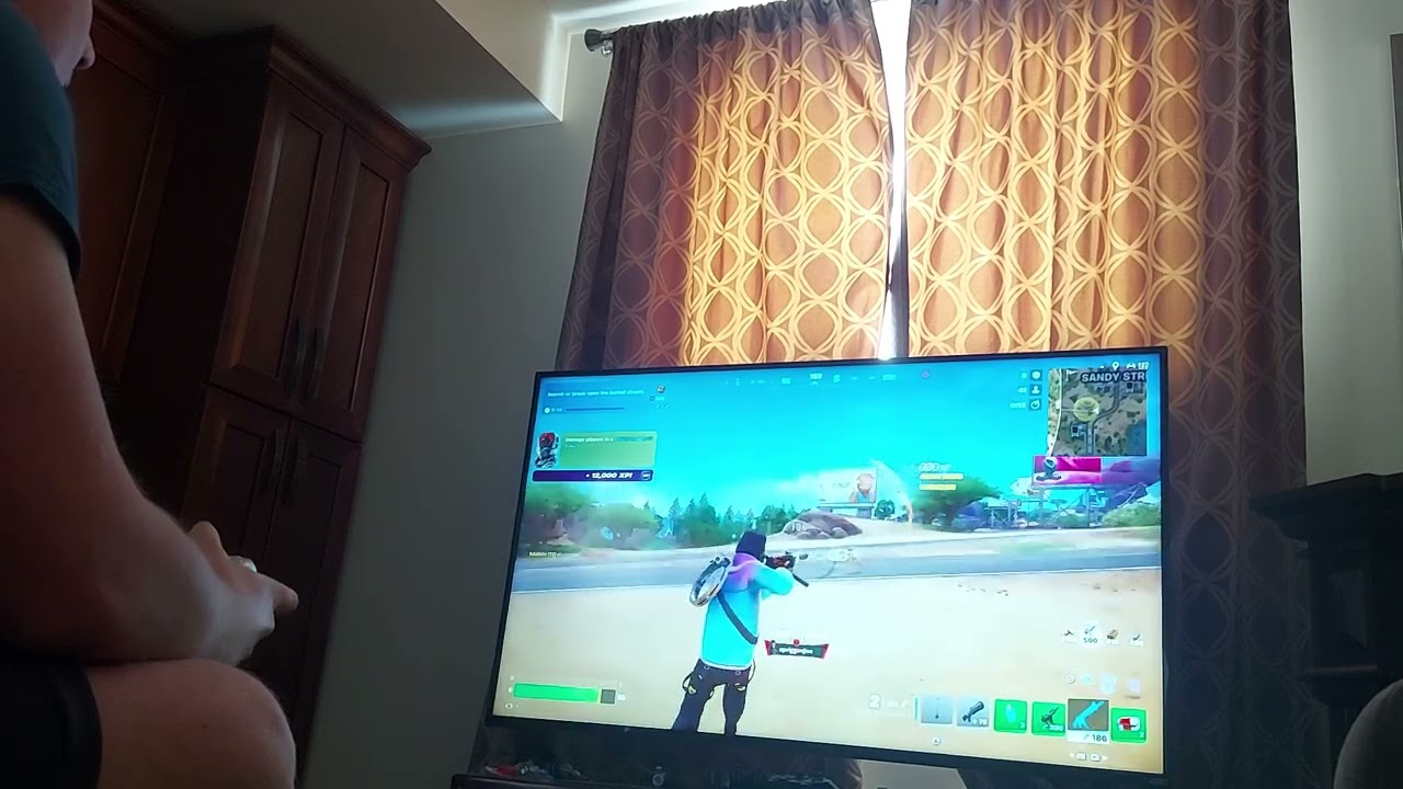 I won in fortnite! 