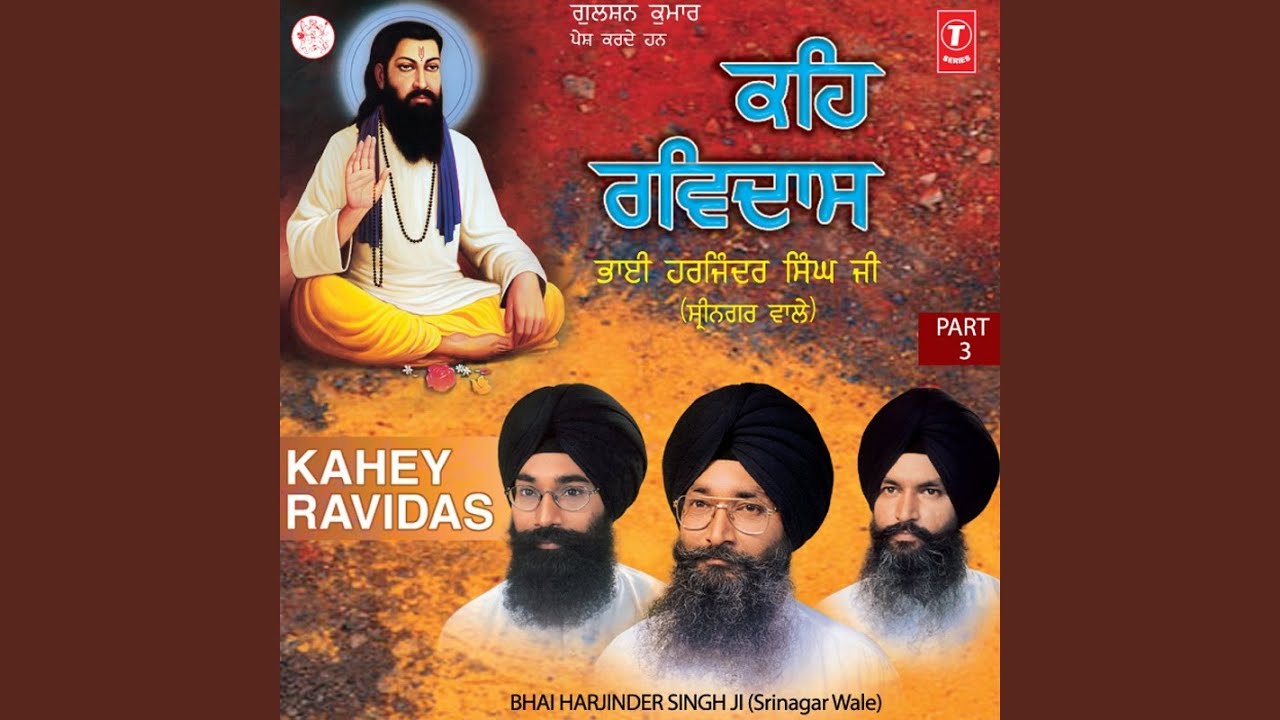 Tohi Mohi, Mohi Tohi