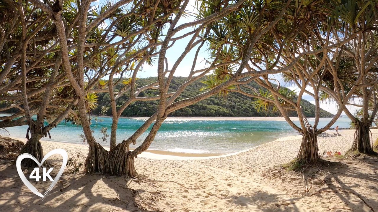 Surf Beach & Tropical Forest Walk - Relaxing 4K Virtual Tour, Burleigh Heads National Park Australia
