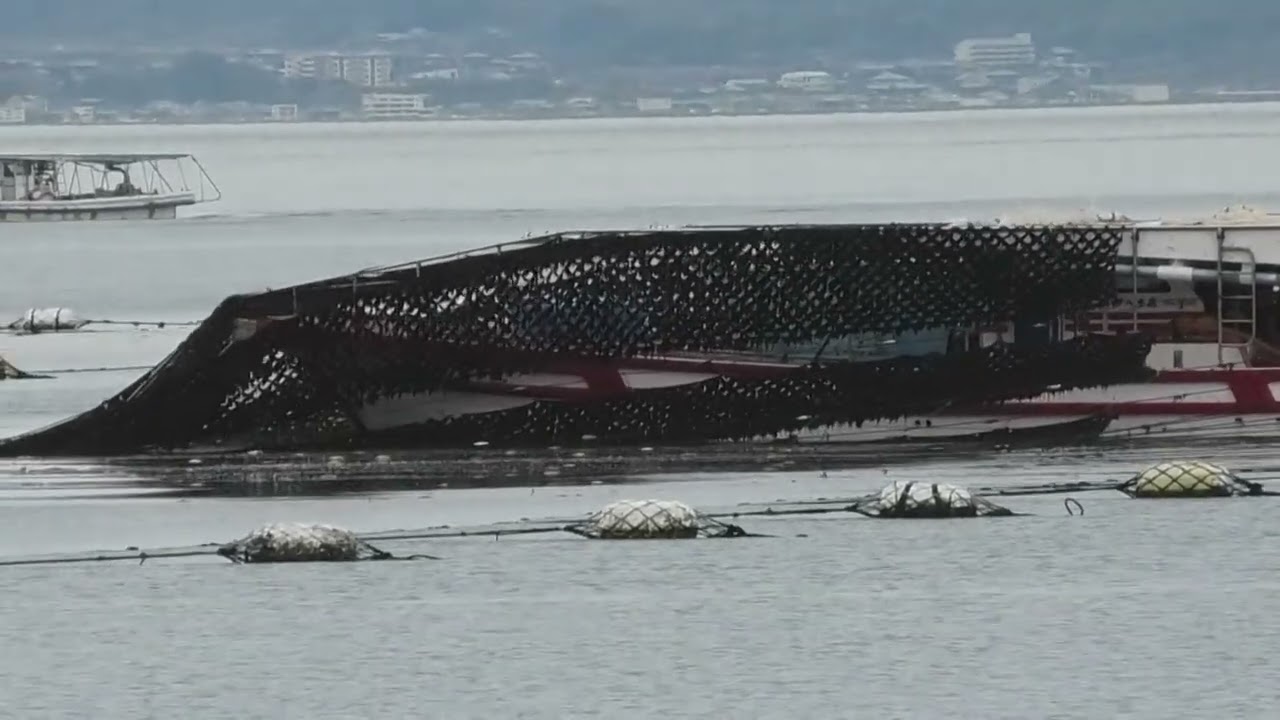 明石海苔刈り採り2026 2 26a