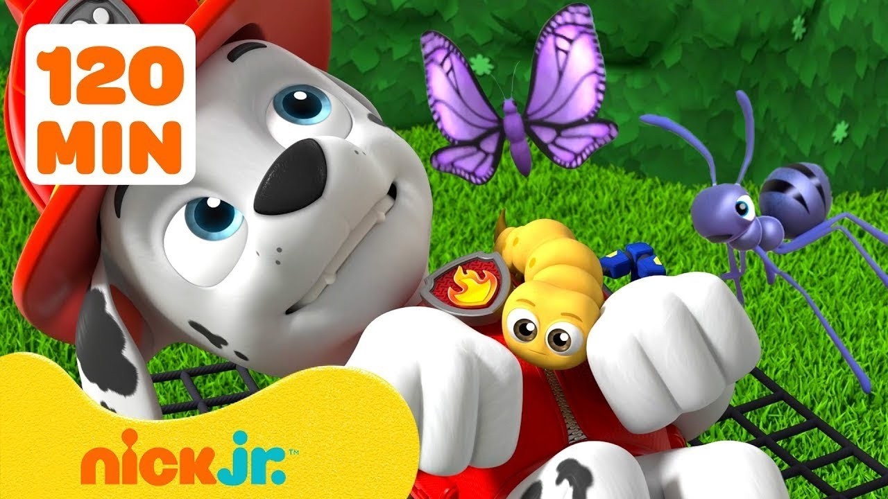 PAW Patrol: Insectenreddingen! 🐝 | 2 uur | Nick Jr. Nederlands