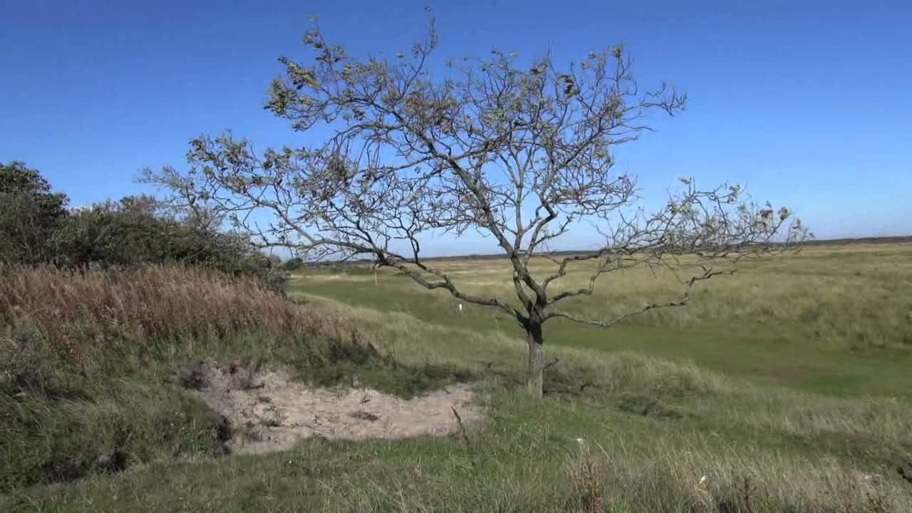 Schiermonnikoog