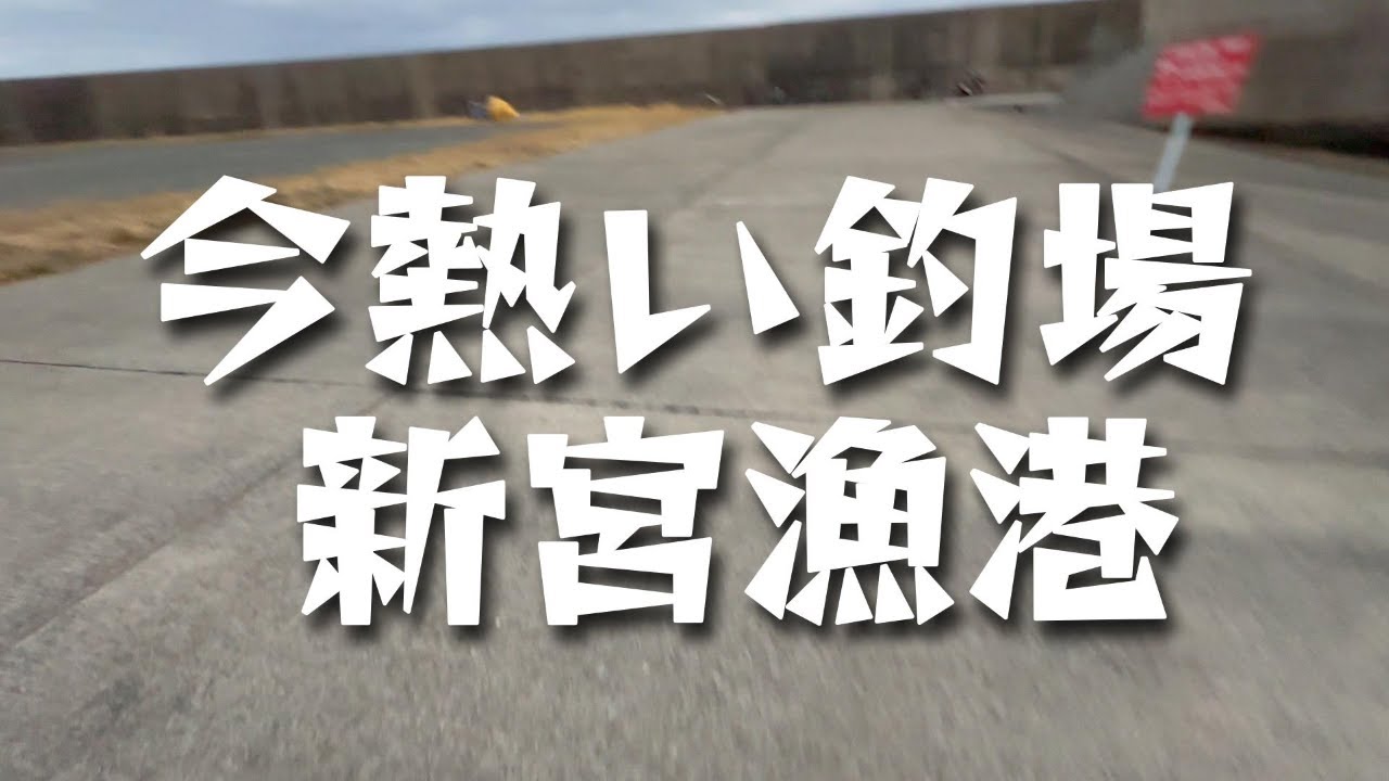 #釣り ＃福岡釣り　新宮漁港