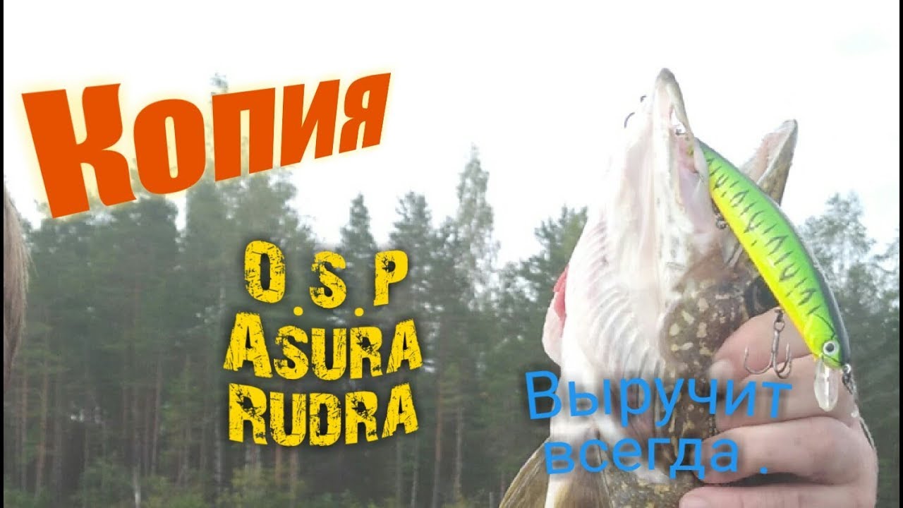 Ловля щуки на спиннинг с лодки ! Asurs rudra рулит. Kurtna j&auml;rv .