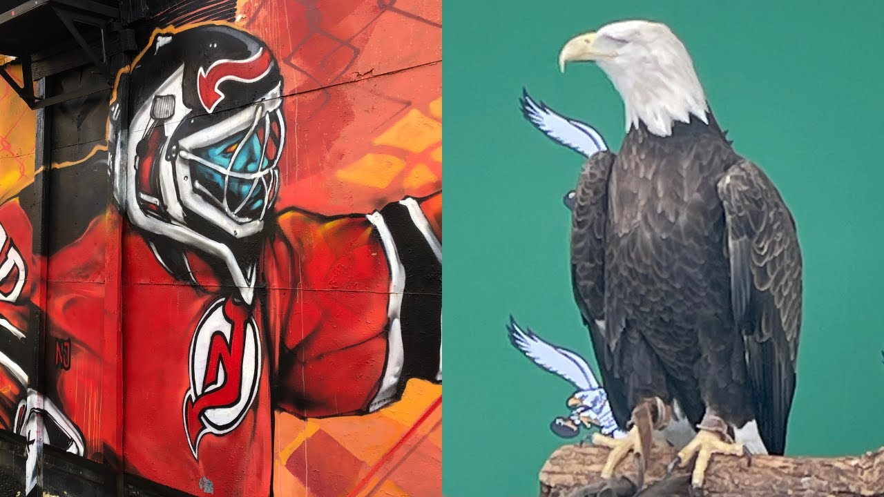 Sports Team Preferences in New Jersey