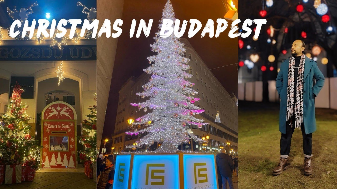 Budapest Christmas Market | Indian In Hungary | Nature With Nitin