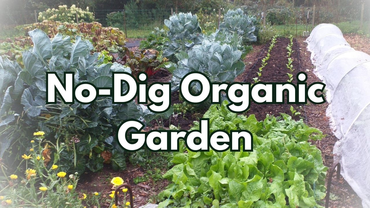 An Afternoon in My No-Dig Kitchen Garden | Slow Living Vlog